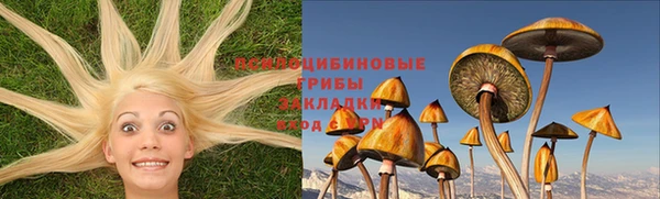 стаф Белоозёрский
