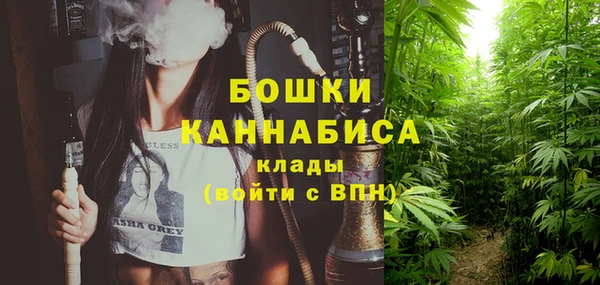 эйфоретик Беломорск
