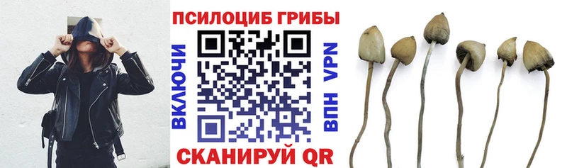 Псилоцибиновые грибы MAGIC MUSHROOMS  маркетплейс Telegram  Гай 
