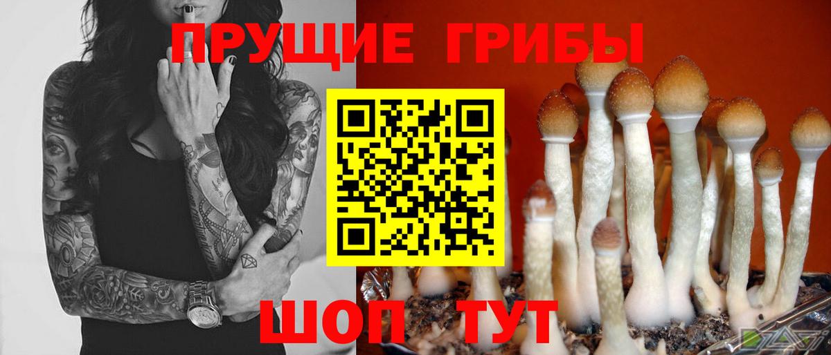 Псилоцибиновые грибы мухоморы Гай