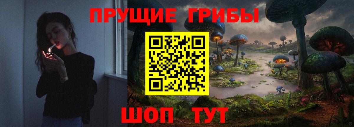 Псилоцибиновые грибы Psilocybine cubensis  Вход с VPN  Гай 