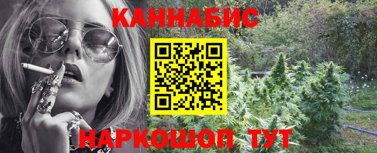 Гай  Бошки Шишки VHQ  Вход с VPN  Бошки Шишки SATIVA & INDICA  Канабис тримм 